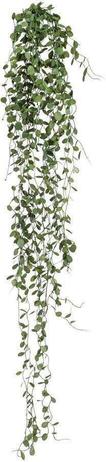 Creativ green Kunstplant Mühlenbeckia-hanger (2 stuks)