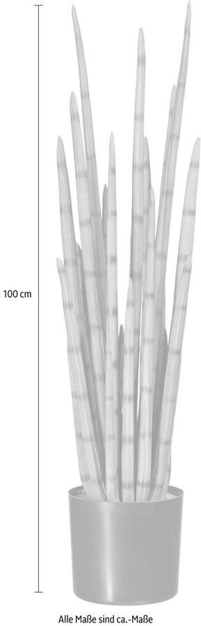 Creativ green Kunstplant Sanseveria (1 stuk)