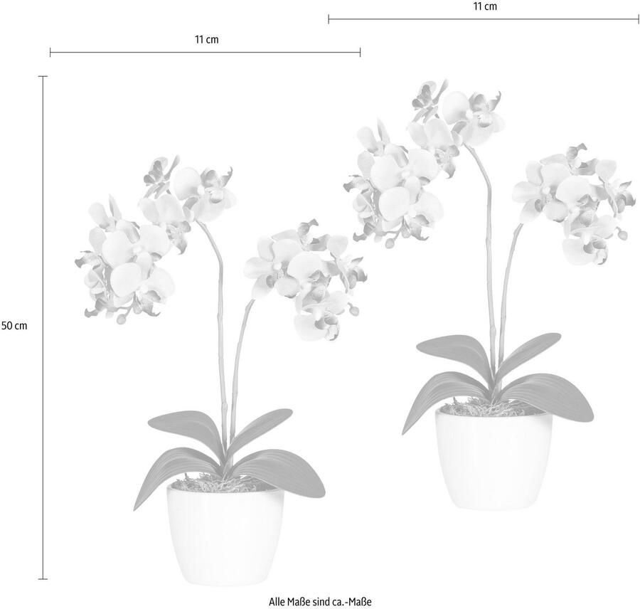 Creativ green Kunstplant Vlinderorchidee (set 2 stuks)