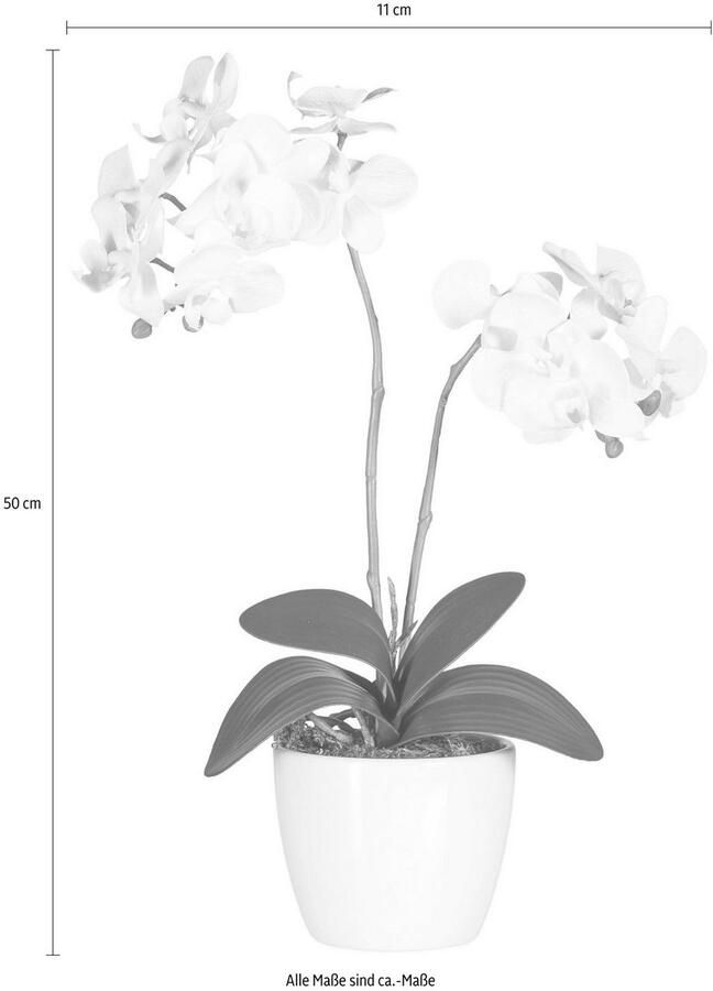 Creativ green Kunstplant Vlinderorchidee (set 2 stuks)