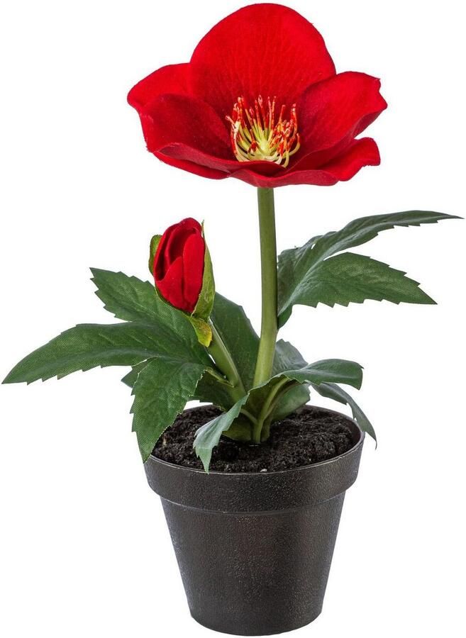 Creativ green Winterse kunstplant Kerst versiering in pot in 4-delige set (2x kleur rood en 2x kleur wit) (4 stuks)