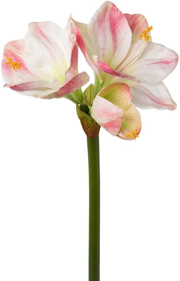 Creativ green Winterse kunstplant Kerst versiering Real-Touch-bloemen 3-delige set (3 stuks)