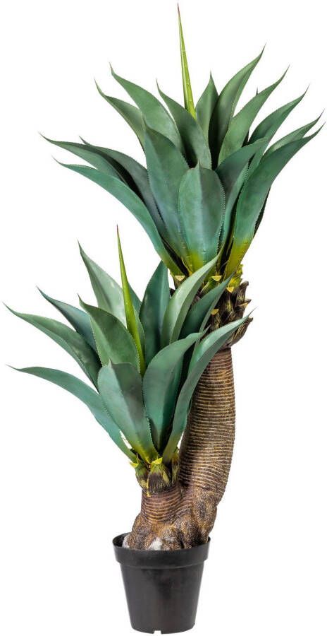 Creativ green Kunst-potplanten Agave (1 stuk)