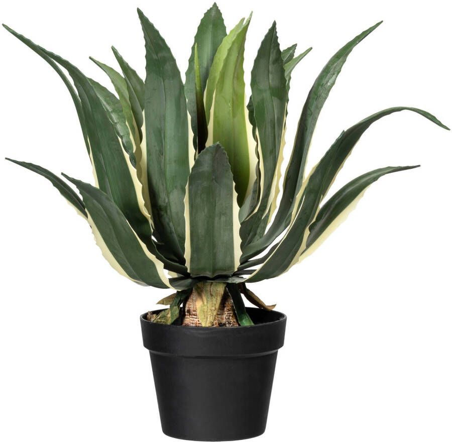 Creativ green Kunst-potplanten Agave americana variegata (1 stuk)