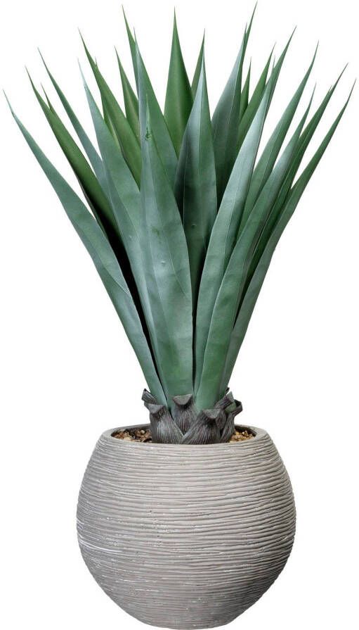 Creativ green Kunst-potplanten Agave in de cementpot (1 stuk)