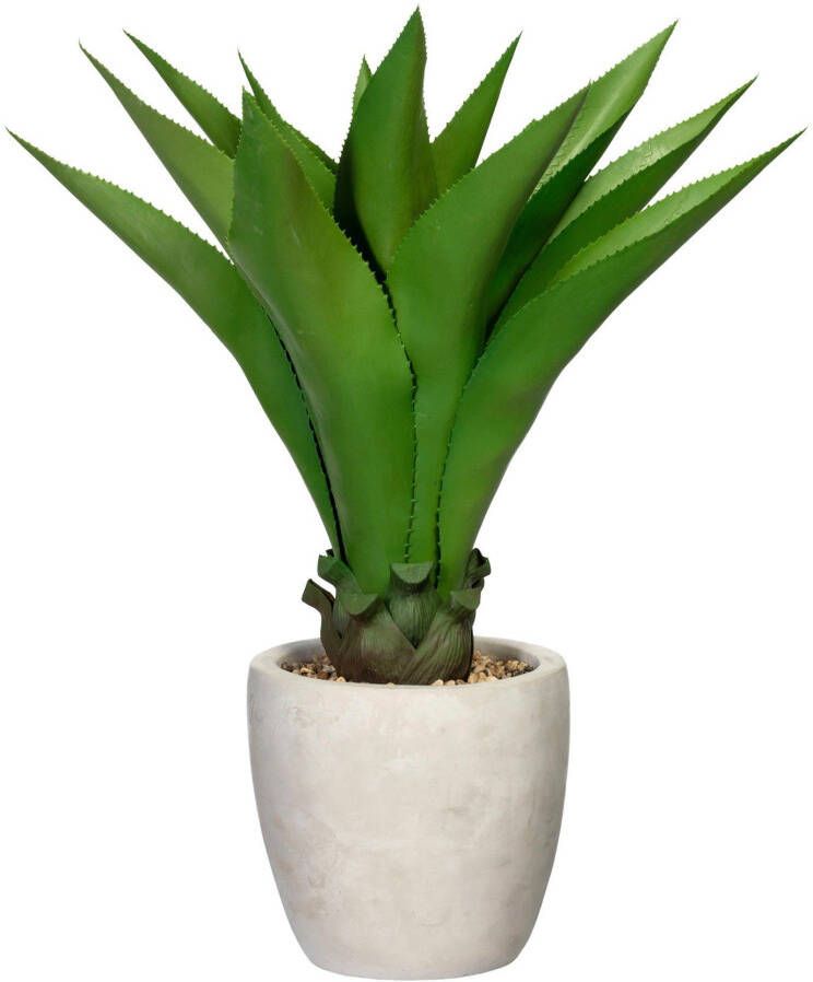 Creativ green Kunst-potplanten Agave in de cementpot (1 stuk)