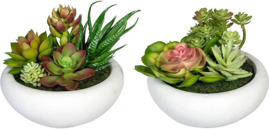 Creativ green Kunst-potplanten Vetplanten-arrangement in een cementpot(2 stuks)