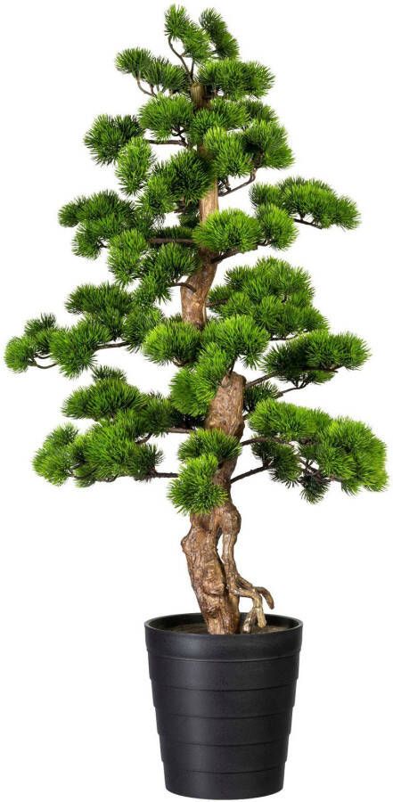 Creativ green Kunstbonsai Bonsai grenen (1 stuk)