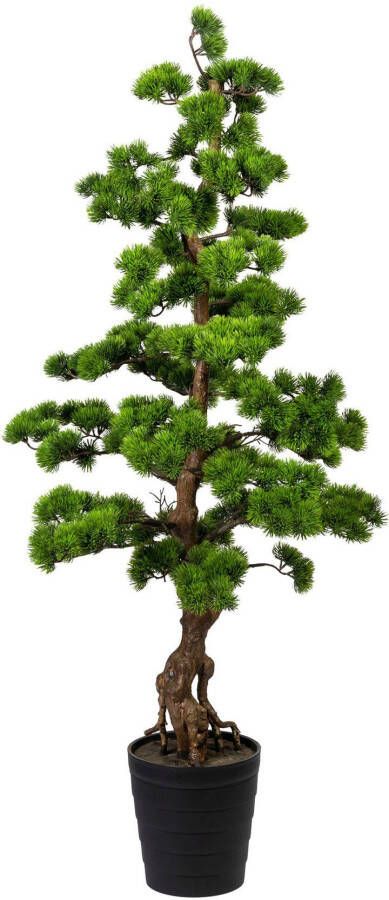 Creativ green Kunstbonsai Bonsai grenen (1 stuk)