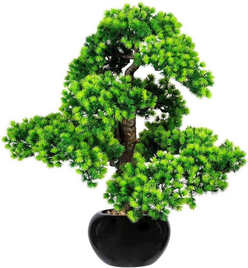 Creativ green Kunstbonsai Bonsai lariks in een keramische pot (1 stuk)
