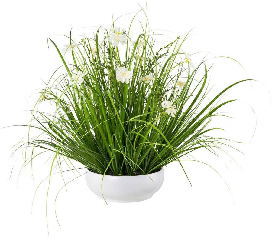 Creativ green Kunstgras Grasmix met cosmea