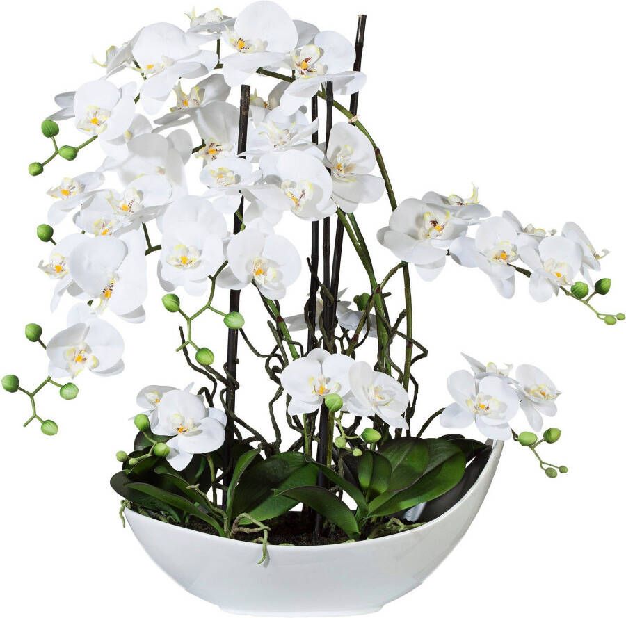 Creativ green Kunstorchidee Vlinderorchidee 68 cm wit (1 stuk)