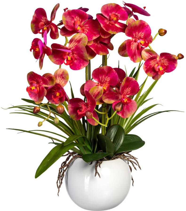 Creativ green Kunstorchidee Vlinderorchidee in een keramische pot (1 stuk)