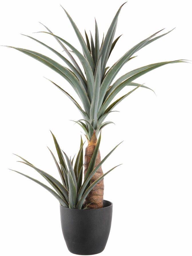 Creativ green Kunstpalm Agave (1 stuk)