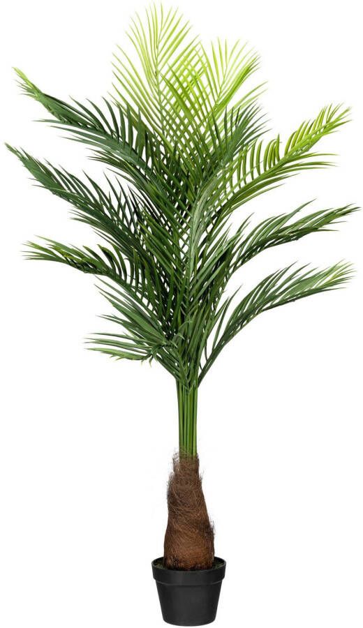 Creativ green Kunstpalm Goudkleurige palm (1 stuk)