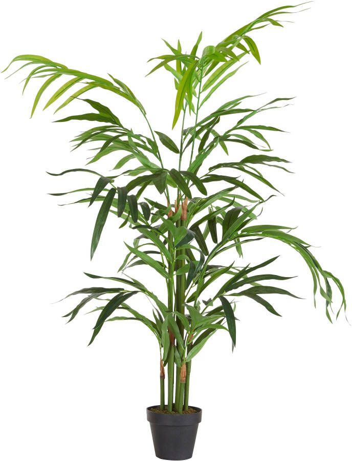 Creativ green Kunstpalm Palm (1 stuk)