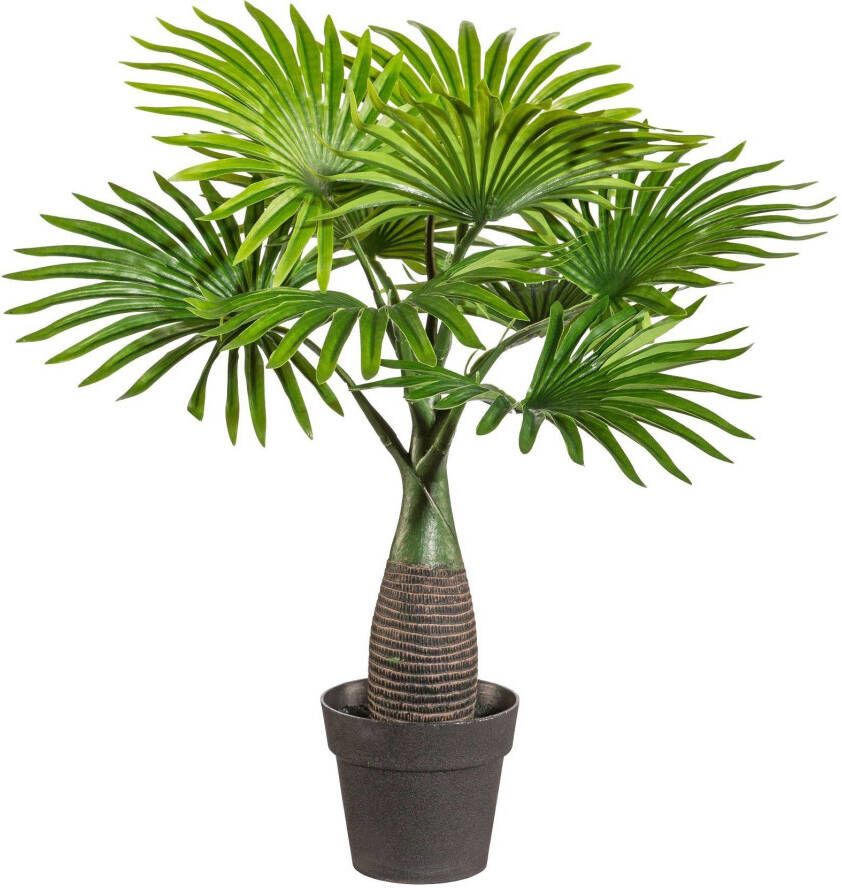 Creativ green Kunstpalm Palm mini in een plastic pot (1 stuk)