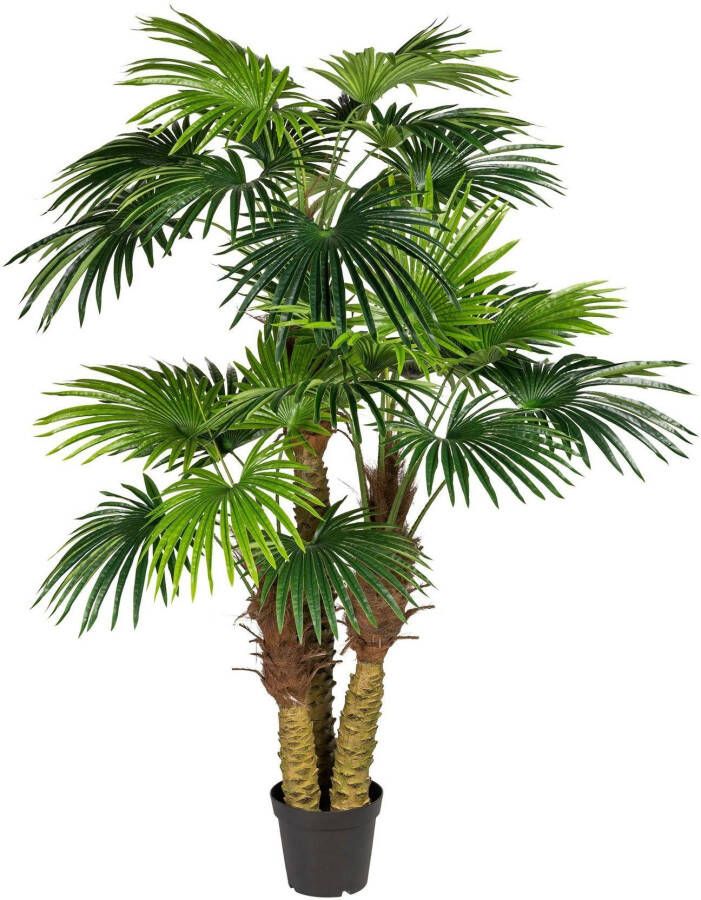 Creativ green Kunstpalm Waaierpalm (1 stuk)