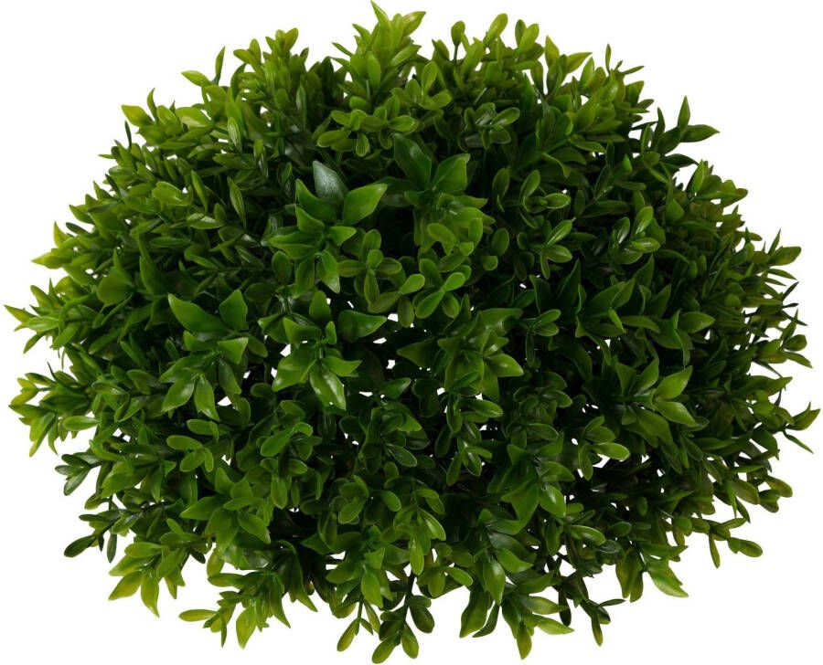 Creativ green Kunstplant Buxus halfrond (1 stuk)