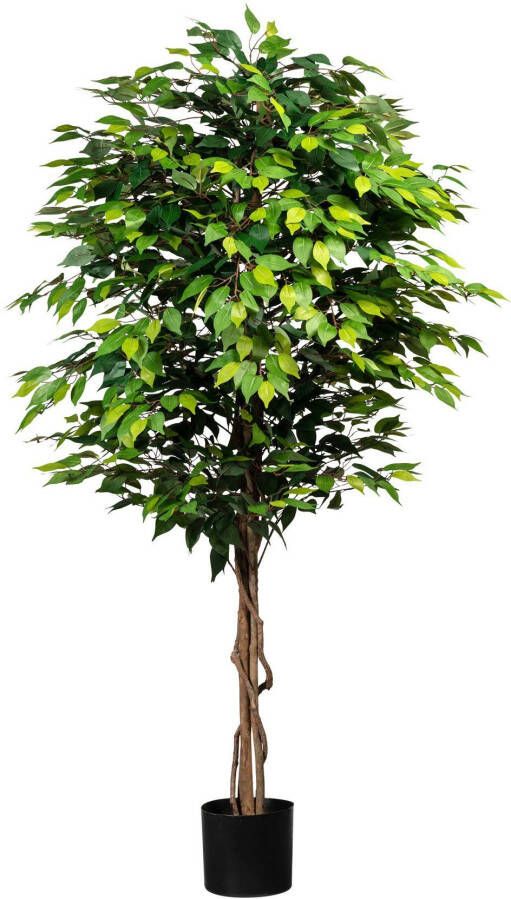 Creativ green Kunstplant Ficus Benjamini (1 stuk)