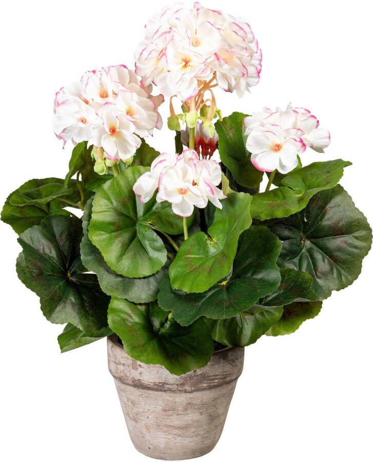 Creativ green Kunstplant Geraniums in de cementpot (1 stuk)