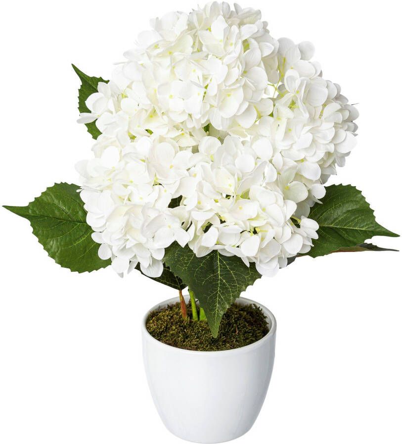 Creativ green Kunstplant Hortensia in een keramische pot (1 stuk)