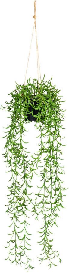 Creativ green Kunstplant Nerifolia-hanger in hangpot van kunststof (1 stuk)