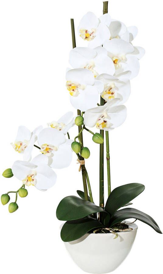 Creativ green Kunstplant Orchidee (1 stuk)