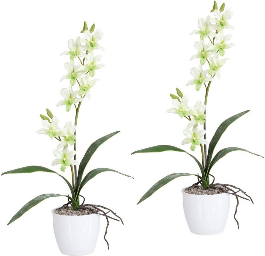 Creativ green Kunstplant Orchidee Dendrobie in een keramische pot (set 2 stuks)