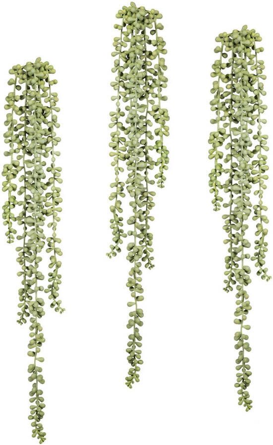 Creativ green Kunstplant Sedum-plantenhanger set van 3 (3 stuks)