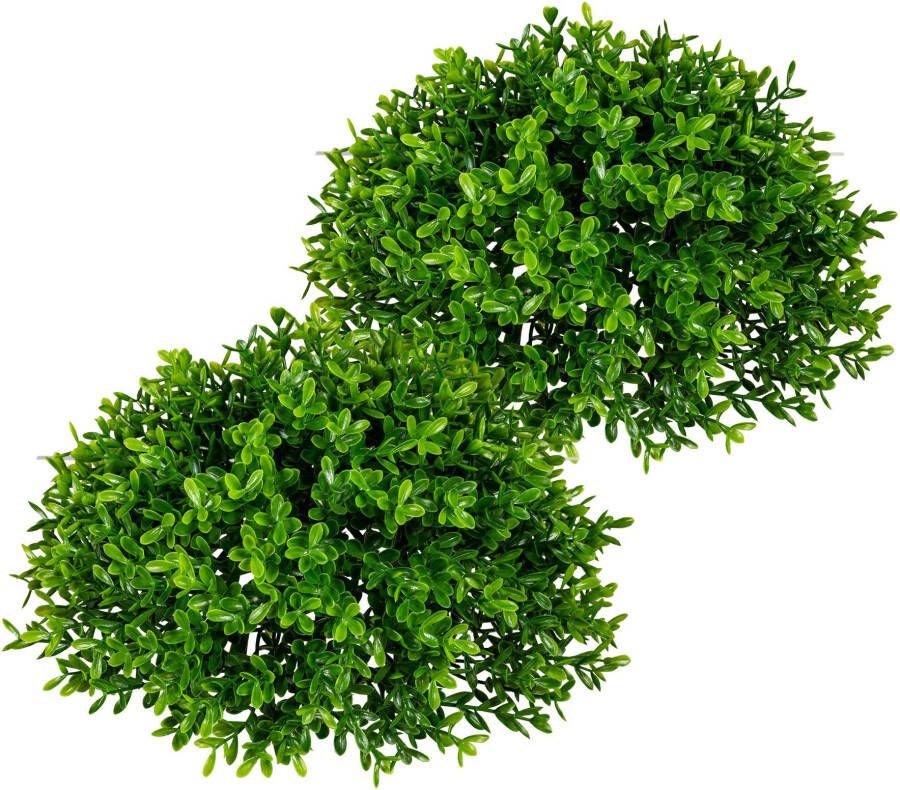 Creativ green Kunstplant Theeblad-halve bol (2 stuks)