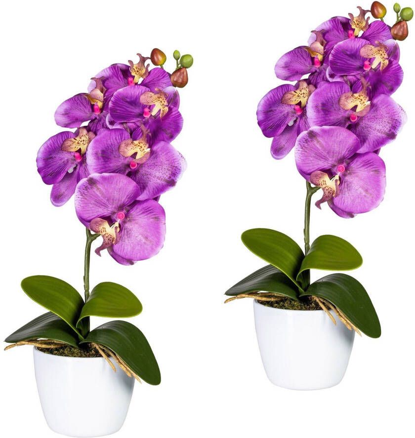 Creativ green Kunstplant Vlinderorchidee in een keramische pot (set 2 stuks)