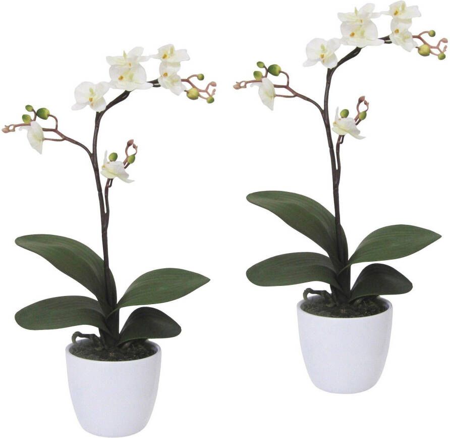 Creativ green Kunstplant Vlinderorchidee in een keramische pot (set 2 stuks)
