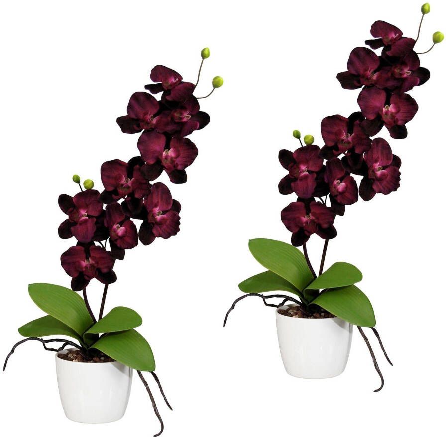 Creativ green Kunstplant Vlinderorchidee in een keramische pot (set 2 stuks)