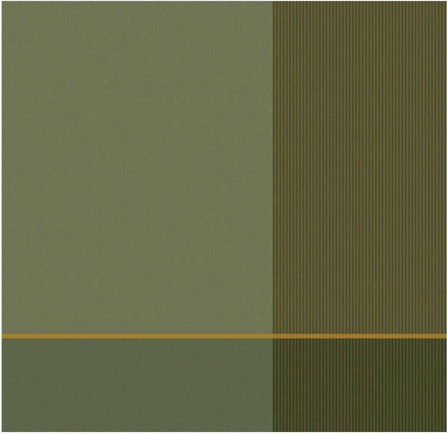 DDDDD Blend 6x Theedoek Set van 6 Katoen Geruit 60x65 cm Olijfgroen