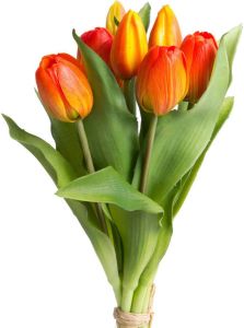 DELAVITA Kunstbloem Willa Bos tulpen in 7-delige set (set 7 stuks)