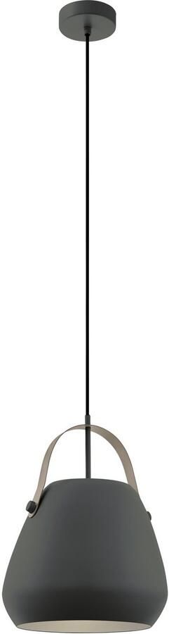 EGLO Hanglamp BEDNALL Hanglamp dimbaar smart home kleurverandering (1 stuk)