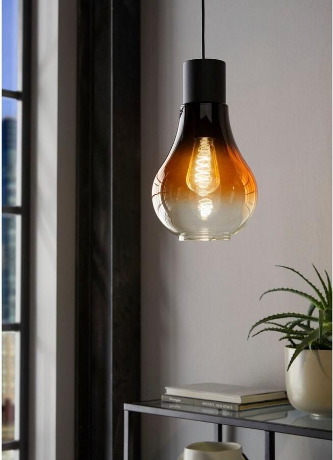 EGLO Hanglamp CHASELY Hanglamp in zwart van staal excl. E27 40W (1 stuk)