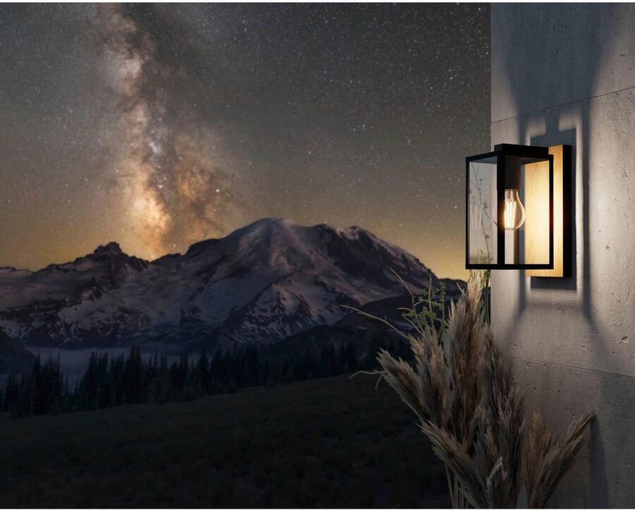 EGLO Plafondlamp BUDRONE Buitenverlichting wandlamp buiten IP44 modern E27 40W (1 stuk)