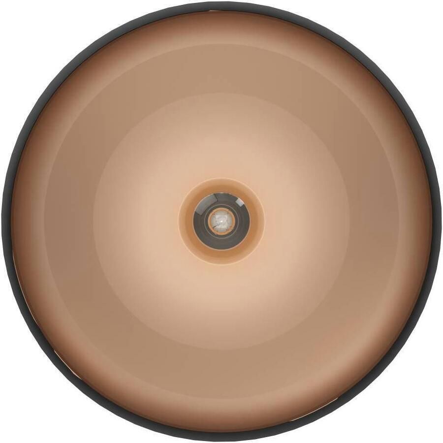 EGLO Plafondlamp MOGANO Plafondlamp Industrial vintage Vloerlamp plafond met E27 fitting (1 stuk)