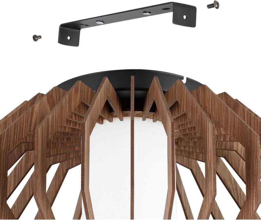 EGLO Plafondlamp RUSTICARIA Plafondlamp in zwart van staal excl. E27 40W (1 stuk)