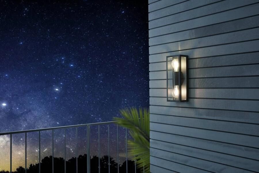 EGLO Wandlamp ALAMONTE 1 Wandlamp staal glas IP44 E27 buitenlamp tuinlamp (1 stuk)