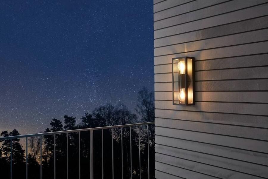 EGLO Wandlamp ALAMONTE 1 Wandlamp staal glas IP44 E27 buitenlamp tuinlamp (1 stuk)