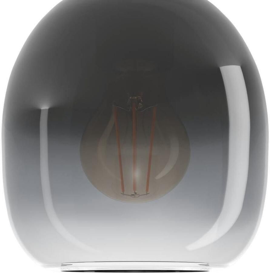 EGLO Plafondlamp FILAGO Plafondlamp bruin en zwart-transparant FSCM70PA E27 fitting (1 stuk)