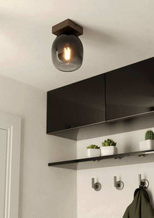EGLO Plafondlamp FILAGO Plafondlamp bruin en zwart-transparant FSCM70PA E27 fitting (1 stuk)