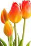 Buitengewoon de Boet Bosje Tulpen Tulp Duchesse Classic oranje kunstbloem - Thumbnail 5