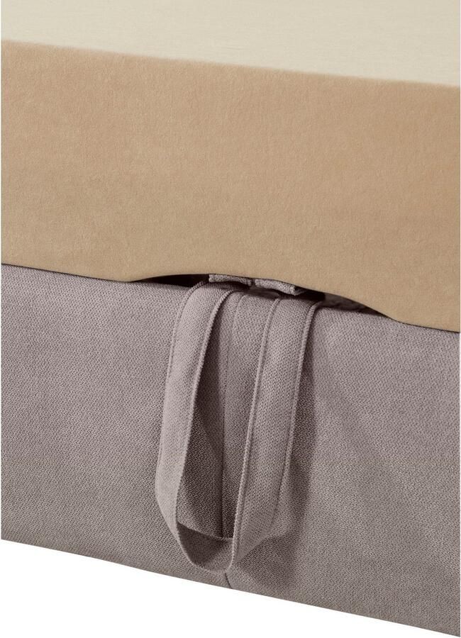 Exxpo sofa fashion Hoekbank Enya uitgebreide afwerking hoog zitcomfort comfortabel L-vorm inclusief verstelbare hoofdsteun naar keuze met slaapfunctie en bedkist