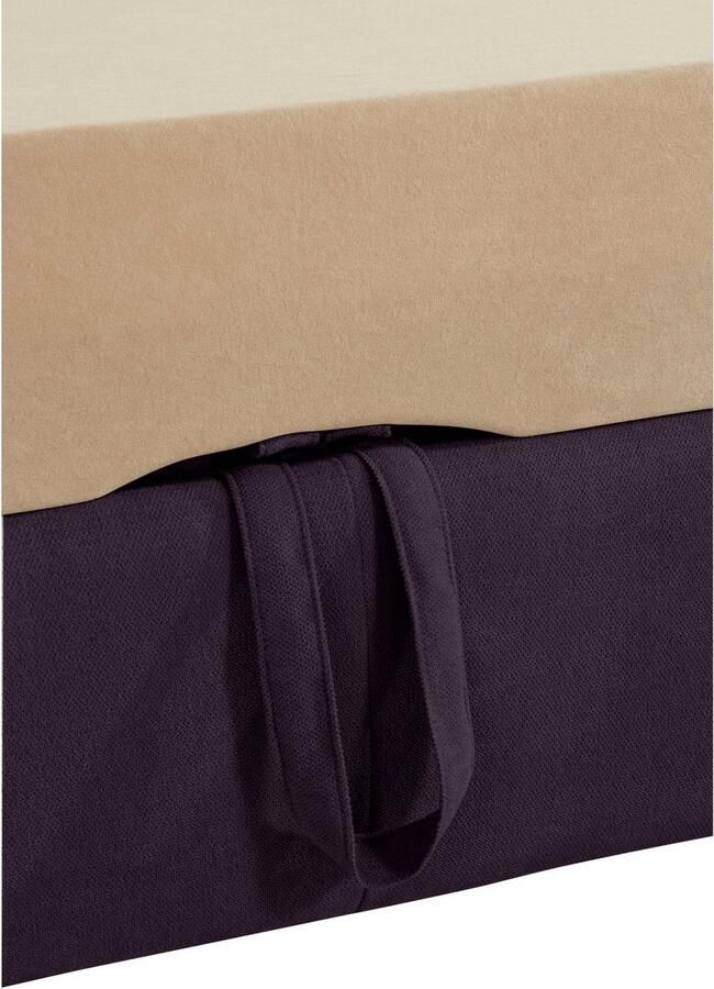 Exxpo sofa fashion Hoekbank Enya uitgebreide afwerking hoog zitcomfort comfortabel L-vorm inclusief verstelbare hoofdsteun naar keuze met slaapfunctie en bedkist