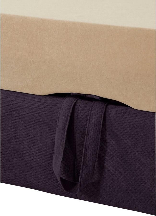 Exxpo sofa fashion Hoekbank Enya uitgebreide afwerking hoog zitcomfort comfortabel L-vorm inclusief verstelbare hoofdsteun naar keuze met slaapfunctie en bedkist