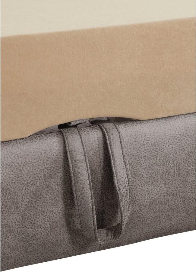 Exxpo sofa fashion Hoekbank Enya uitgebreide afwerking hoog zitcomfort comfortabel L-vorm inclusief verstelbare hoofdsteun naar keuze met slaapfunctie en bedkist